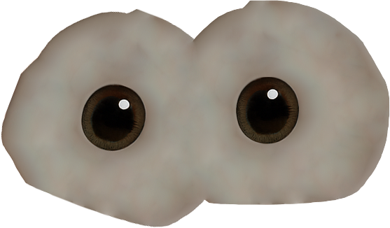 Oči